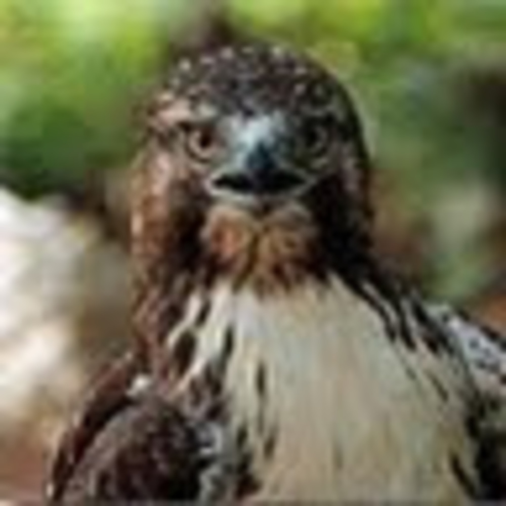 Meet your Posher, Larene